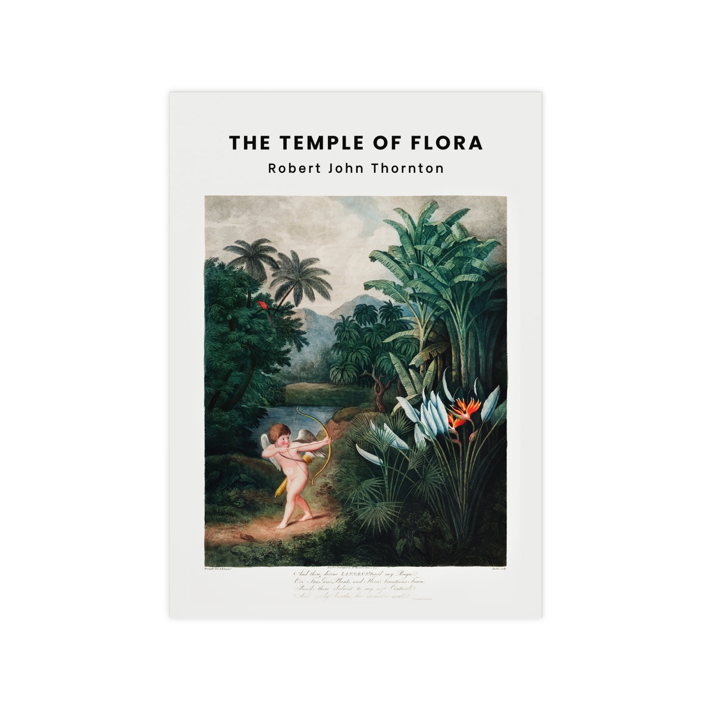 The Temple of Flora Poster | Robert John Thornton