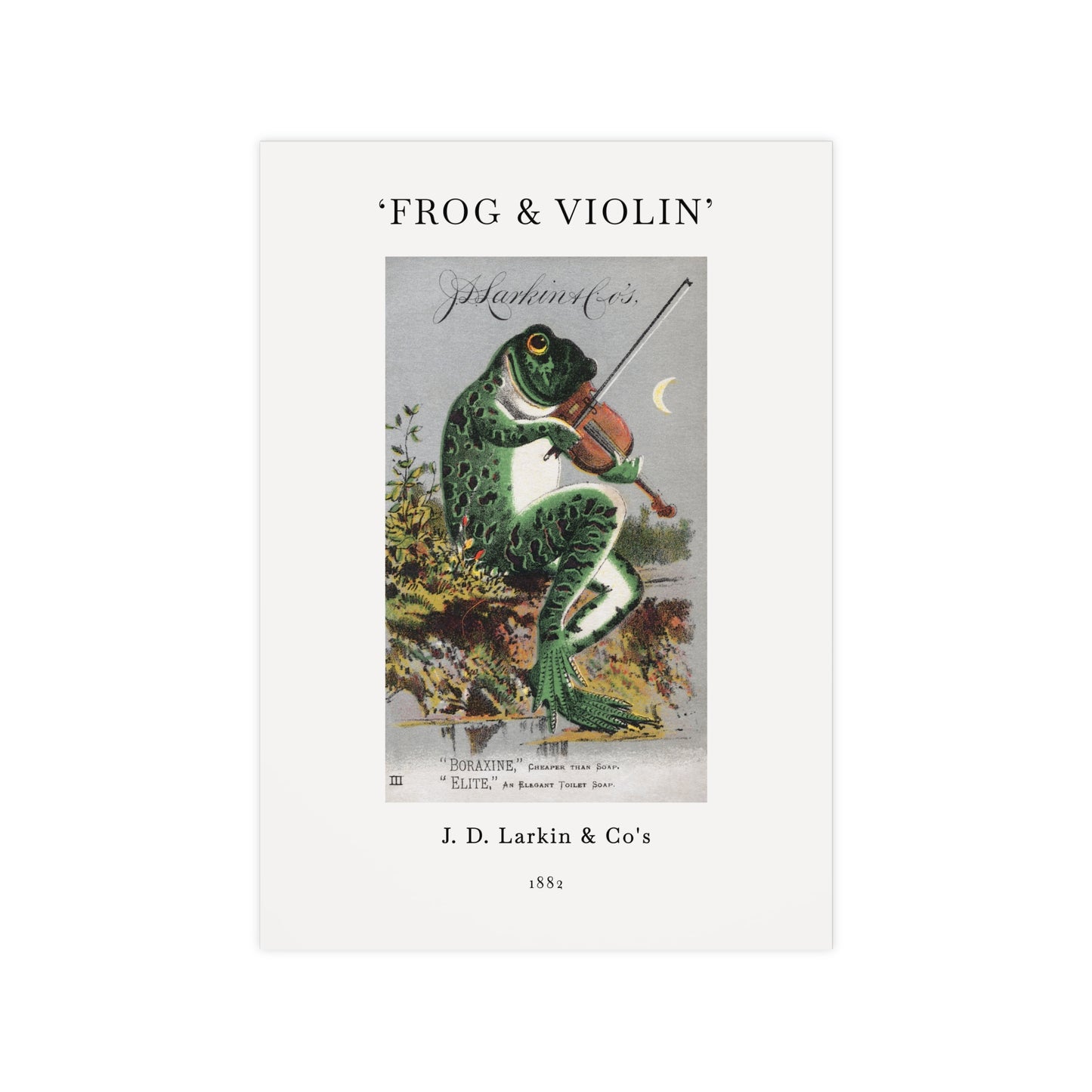 Frog & Violin Poster | J. D. Larkin & Co