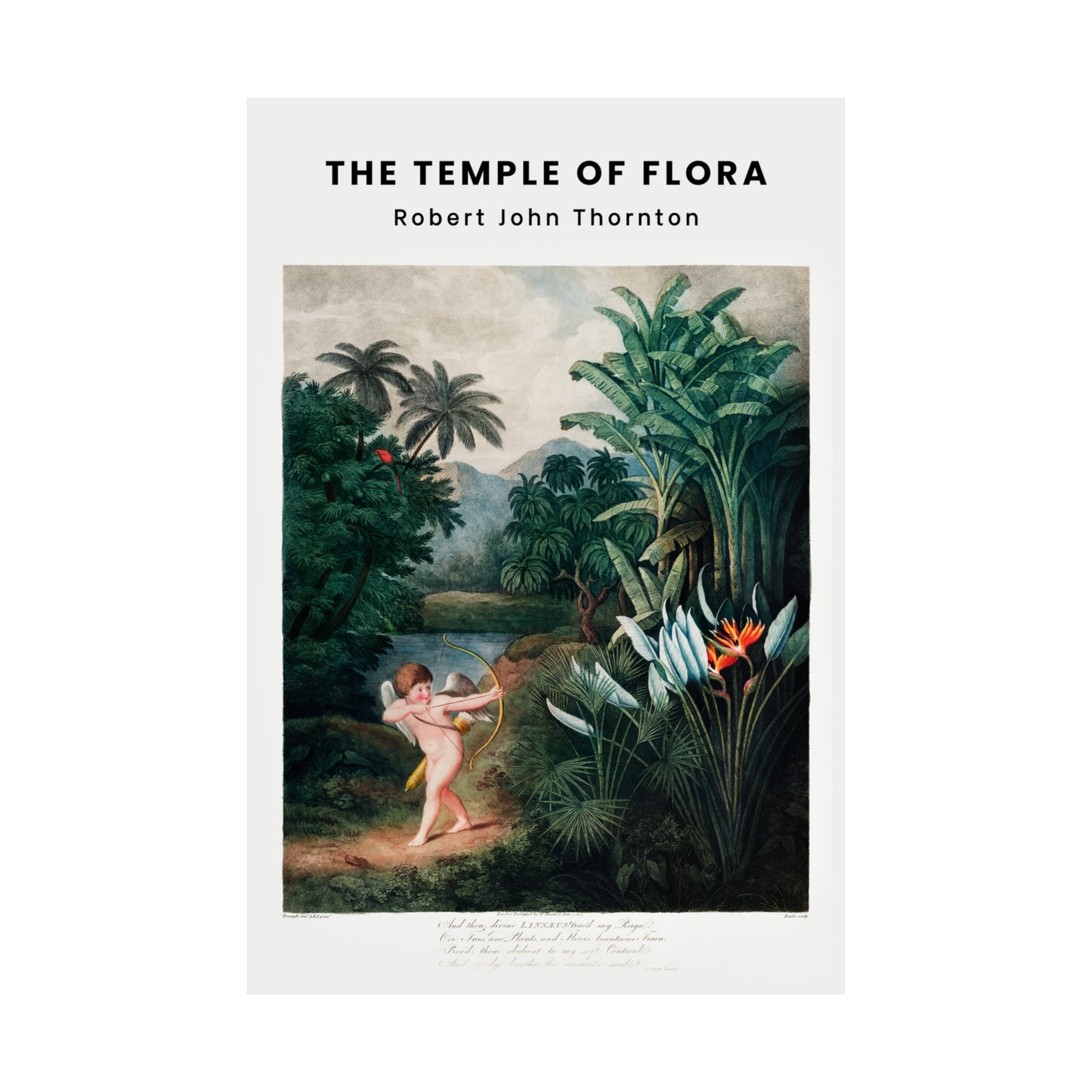 The Temple of Flora Poster Poster | Robert John Thornton