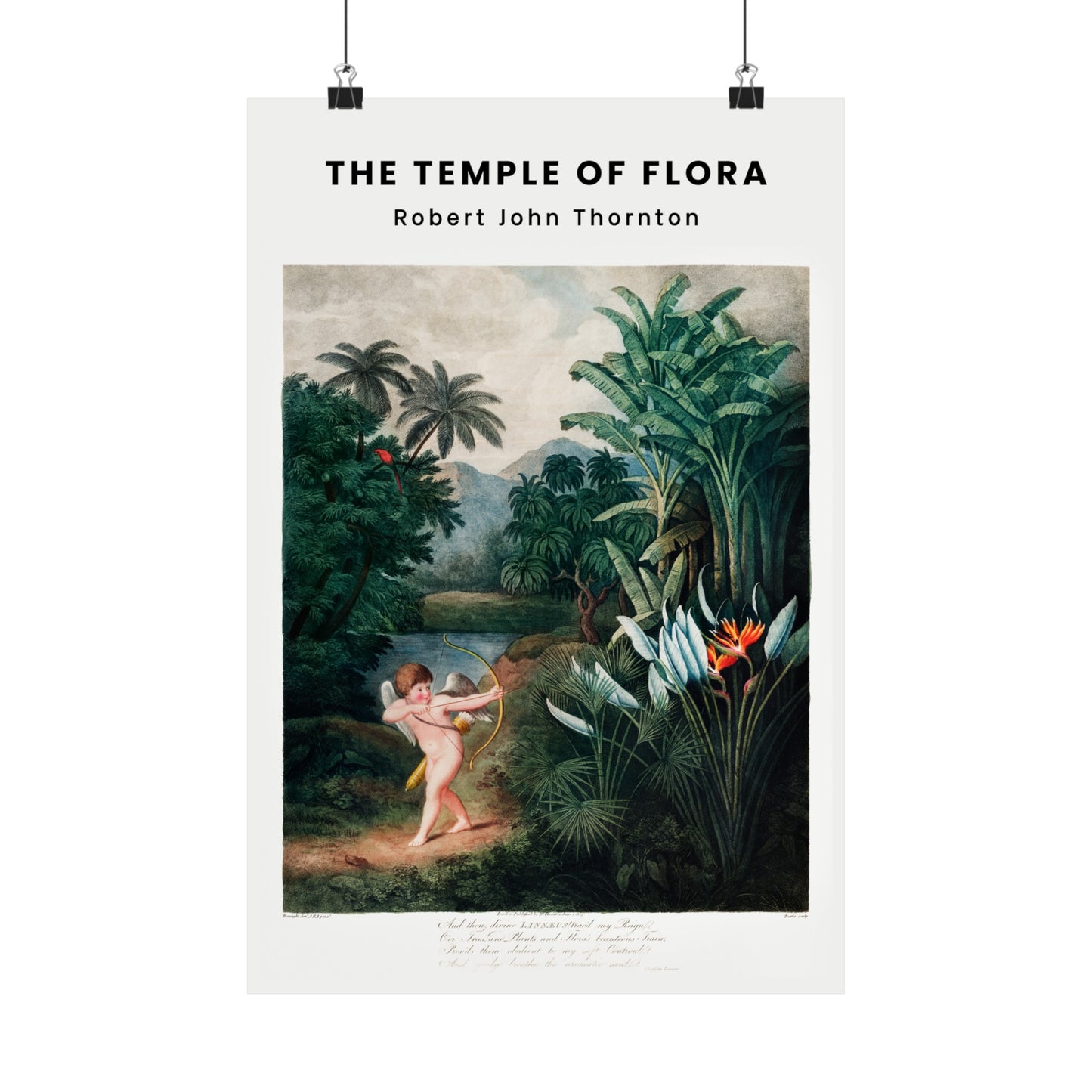 The Temple of Flora Poster Poster | Robert John Thornton